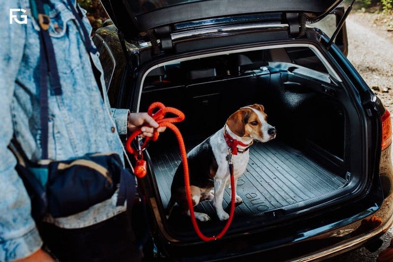 Boot Liner/cargo liner DRYZONE DZ432482 - image 7