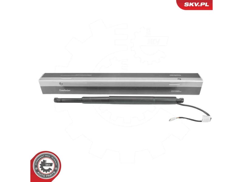 Electric Motor, tailgate 52SKV299