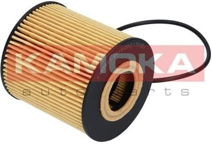 Filter oil F107001 - image 3