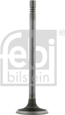Intake Valve 21805