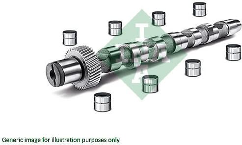 Camshaft Kit 428004430