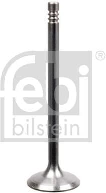 Intake Valve 22060