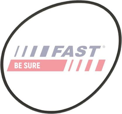 Gasket, coolant pipe FT49932