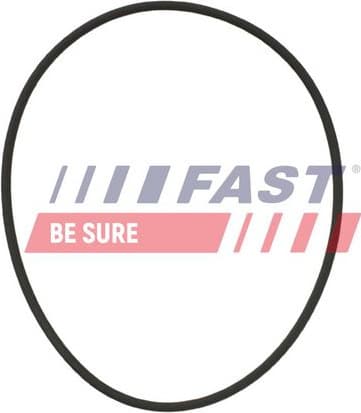 Gasket, coolant pipe FT49932 - image 2