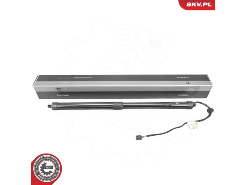 Electric Motor, tailgate 52SKV226