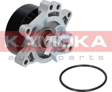 Water Pump, engine cooling T0263