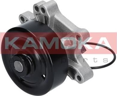 Water Pump, engine cooling T0263 - image 4