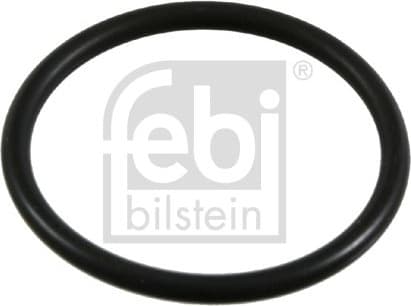 Gasket, crankcase ventilation 21065