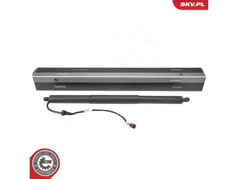 Electric Motor, tailgate 52SKV223