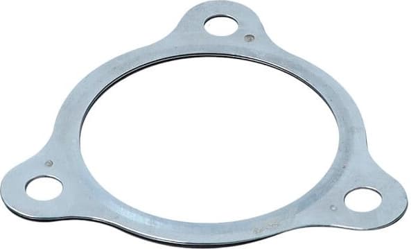 Gasket, exhaust pipe 70-0514