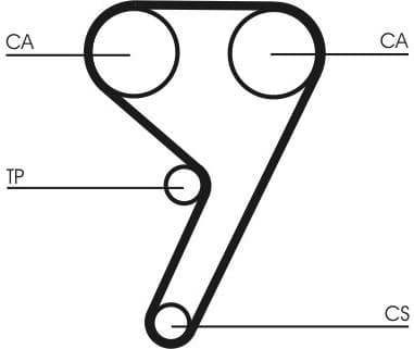 Water Pump & Timing Belt Kit CT881WP4 - image 2