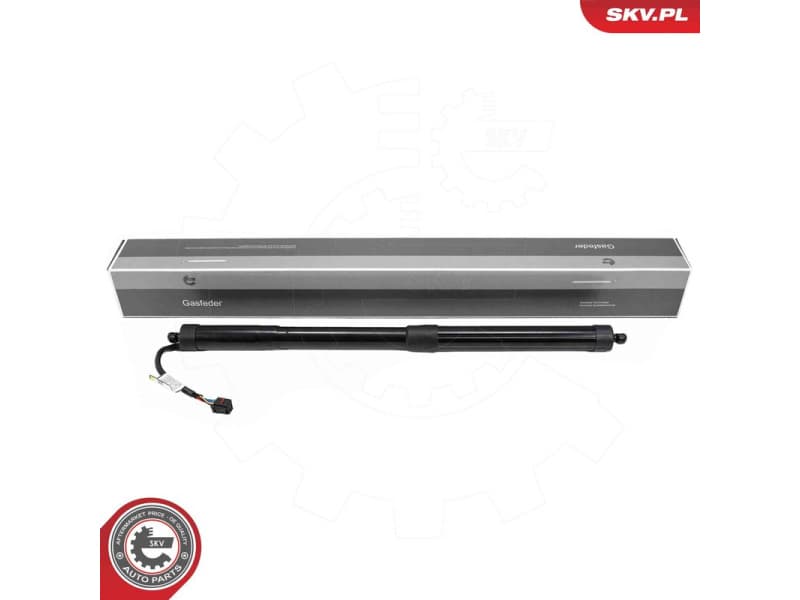 Electric Motor, tailgate 52SKV166