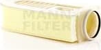 Air Filter C35003