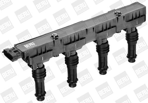 Ritė uždegimo babina - image 3