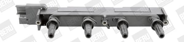 Ritė uždegimo babina