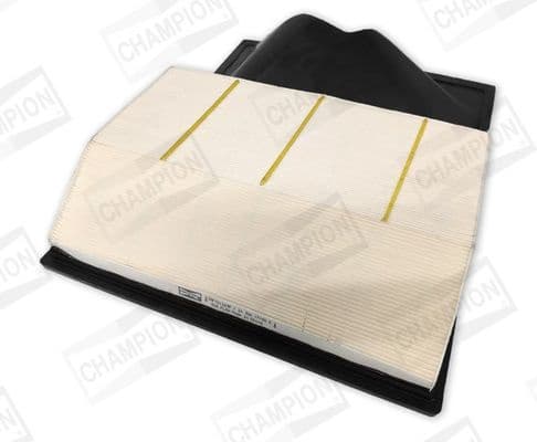 Air Filter CAF101269P