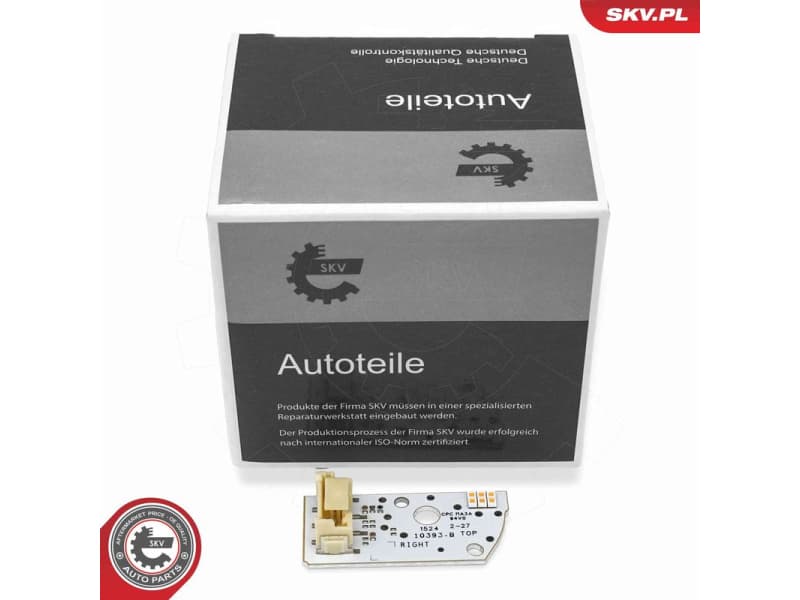 Control Unit, lights 59SKV290