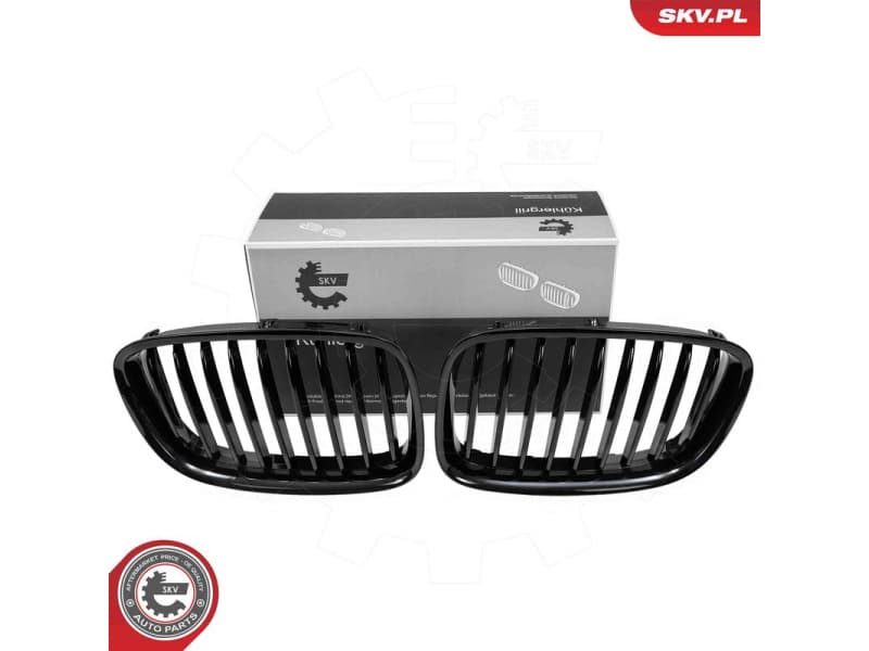 Radiator Grille 66SKV176