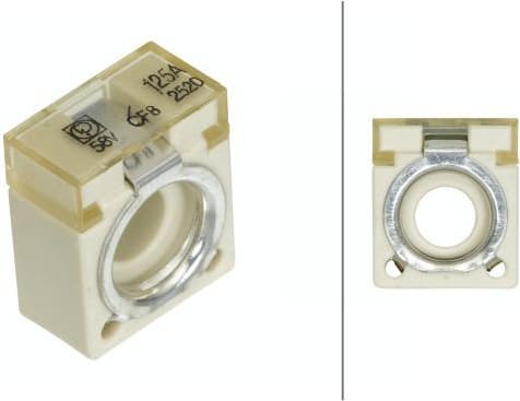 Fuse 8JS 747 876-031
