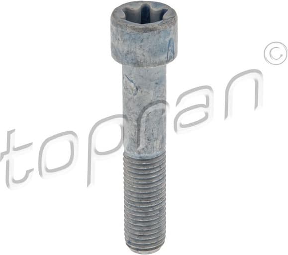 Screw 411 095
