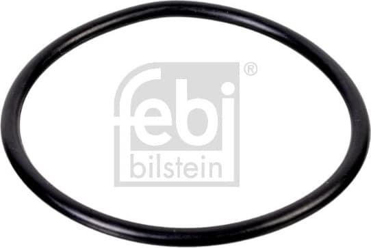 Seal Ring, steering knuckle 03725