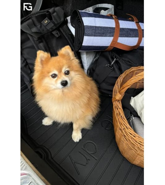 Boot Liner/cargo liner DRYZONE DZ413788 - image 5