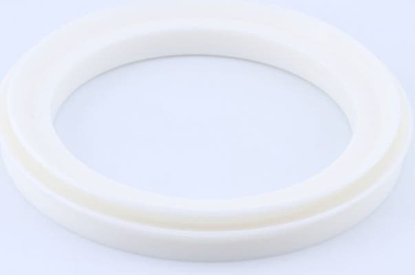 Seal Ring 12018306B