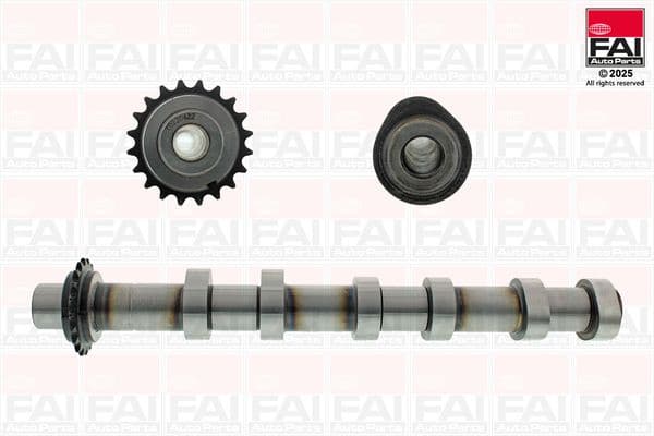 Camshaft C591