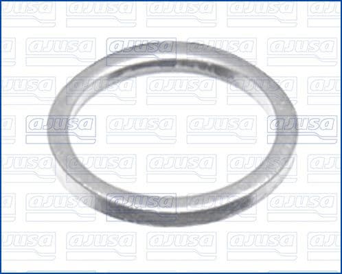 Seal Ring, oil drain plug 22004800