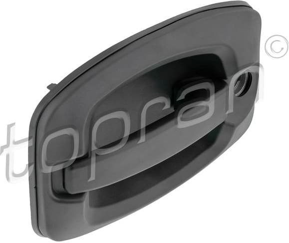 Exterior Door Handle 724 495