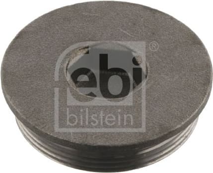 Screw Plug, crankcase 04819