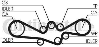 Timing Belt CT792 - image 2