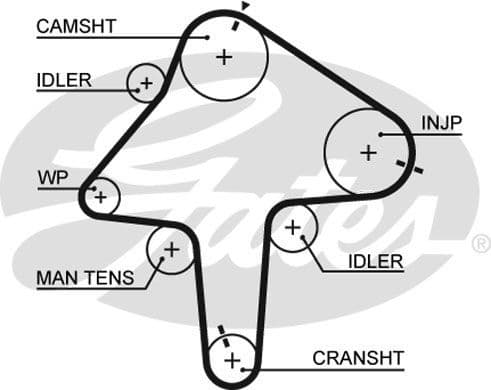 Belt timing 5482XS - image 2