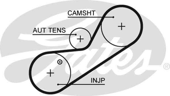Belt diesel fuel pump 5546XS