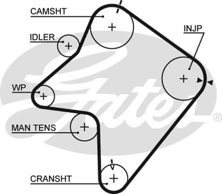 Timing Belt PowerGrip™ 5354XS - image 2