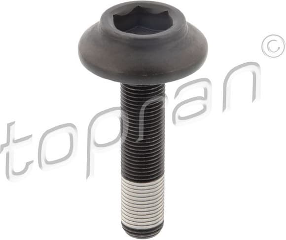 Axle Bolt, drive shaft 120 981