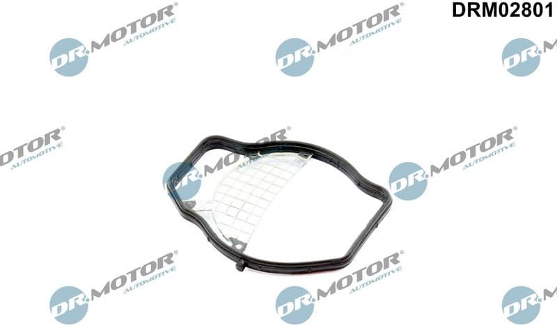 Gasket, throttle body DRM02801
