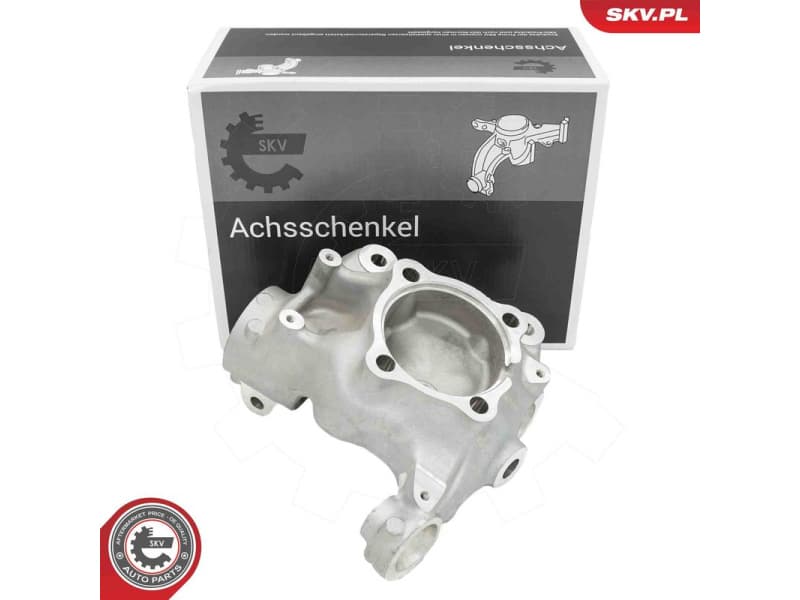 Steering Knuckle, wheel suspension 73SKV161