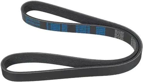 V-ribbed Belt 06-00986-SX