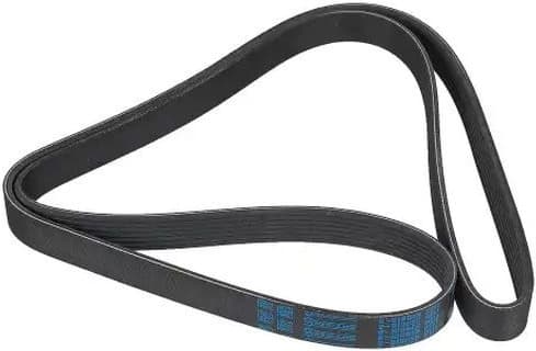 V-ribbed Belt 07-01770-SX - image 3