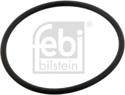 Seal Ring, steering knuckle 30953