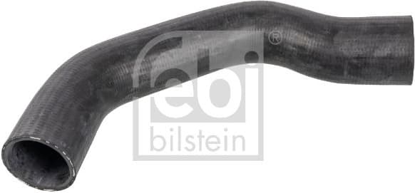Radiator Hose 172029