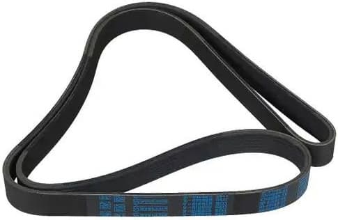 V-ribbed Belt 07-01666-SX