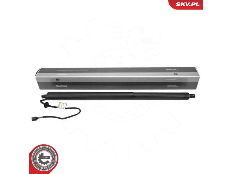 Electric Motor, tailgate 52SKV218