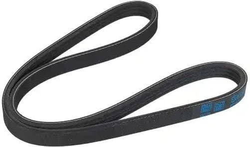 V-ribbed Belt 04-00805-SX