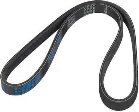 V-ribbed Belt 04-00805-SX - image 3