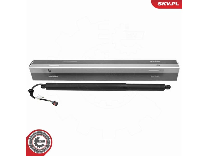 Electric Motor, tailgate 52SKV283