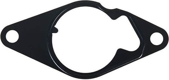 Gasket, vacuum pump 11-25473-SX