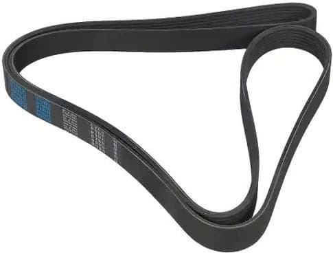 V-ribbed Belt 07-01905-SX - image 3