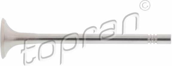 Exhaust Valve 116 859